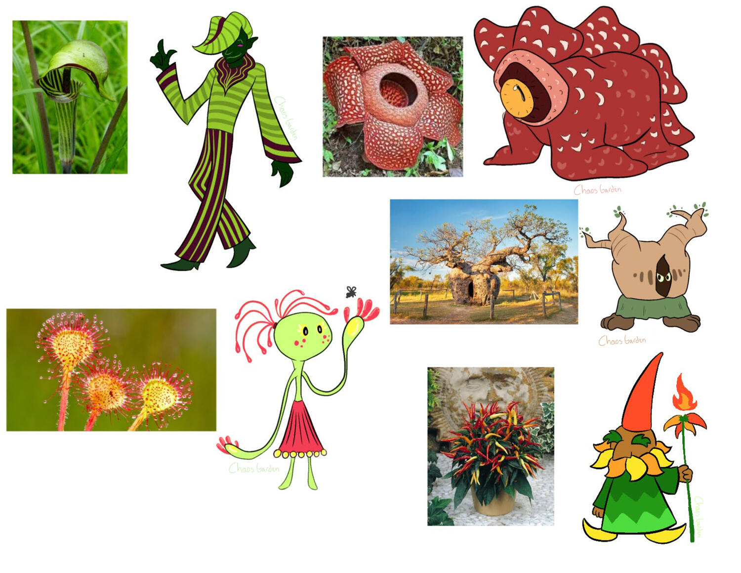 Plant-Based Characters